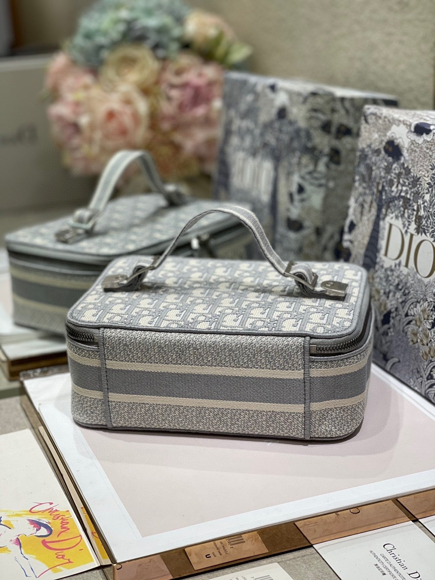 DIOR SMALL 24 VANITY CASE IN PALE GRAY MONOGRAM OBLIQUE JACQUARD