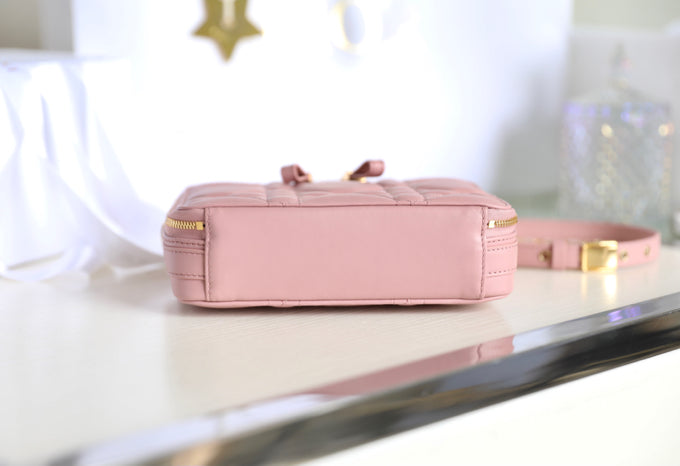 DIOR CARO BOX BAG 19 IN LIGHT PINK CALFSKIN