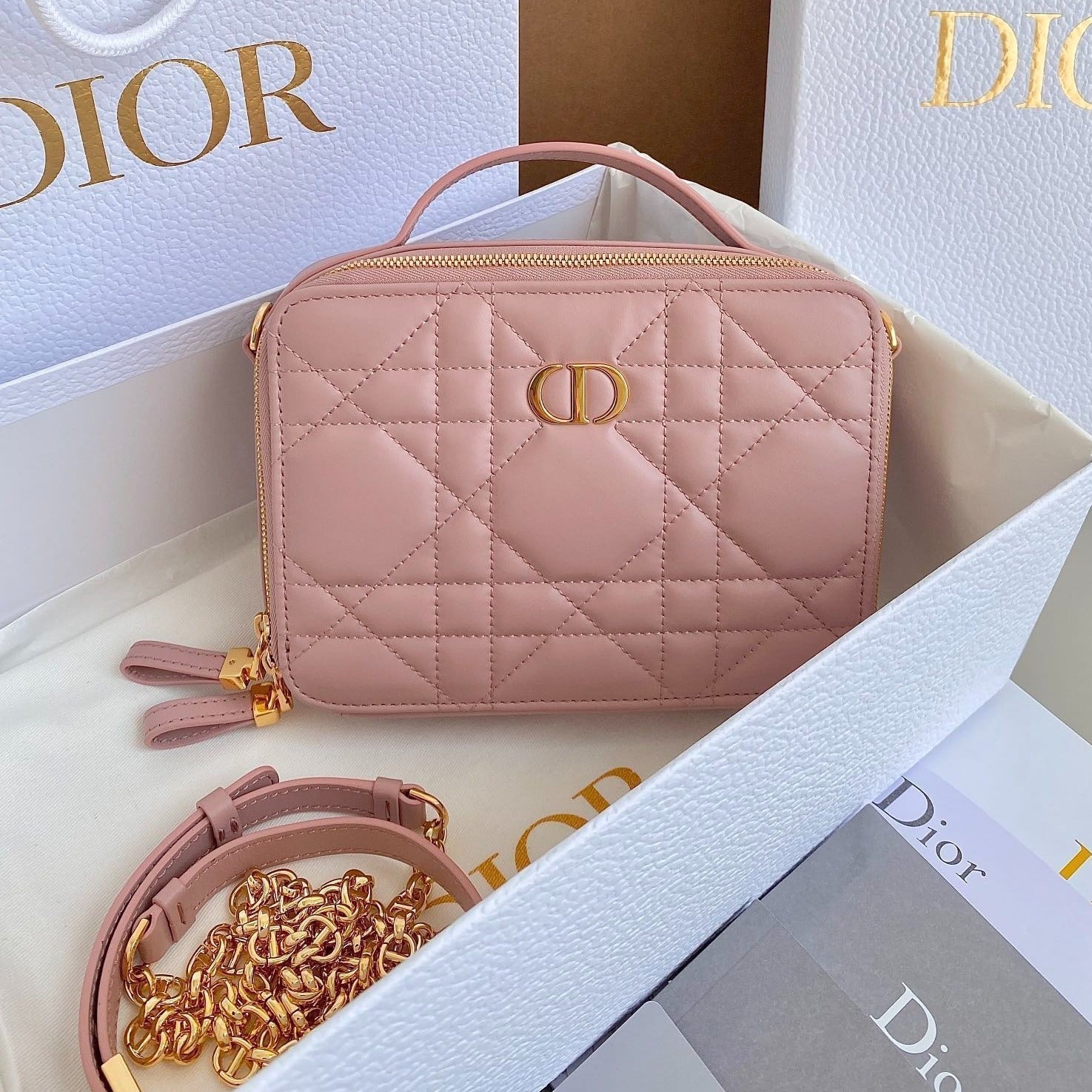 DIOR CARO 18 CAMERA BAG IN LIGHT PINK CALFSKIN