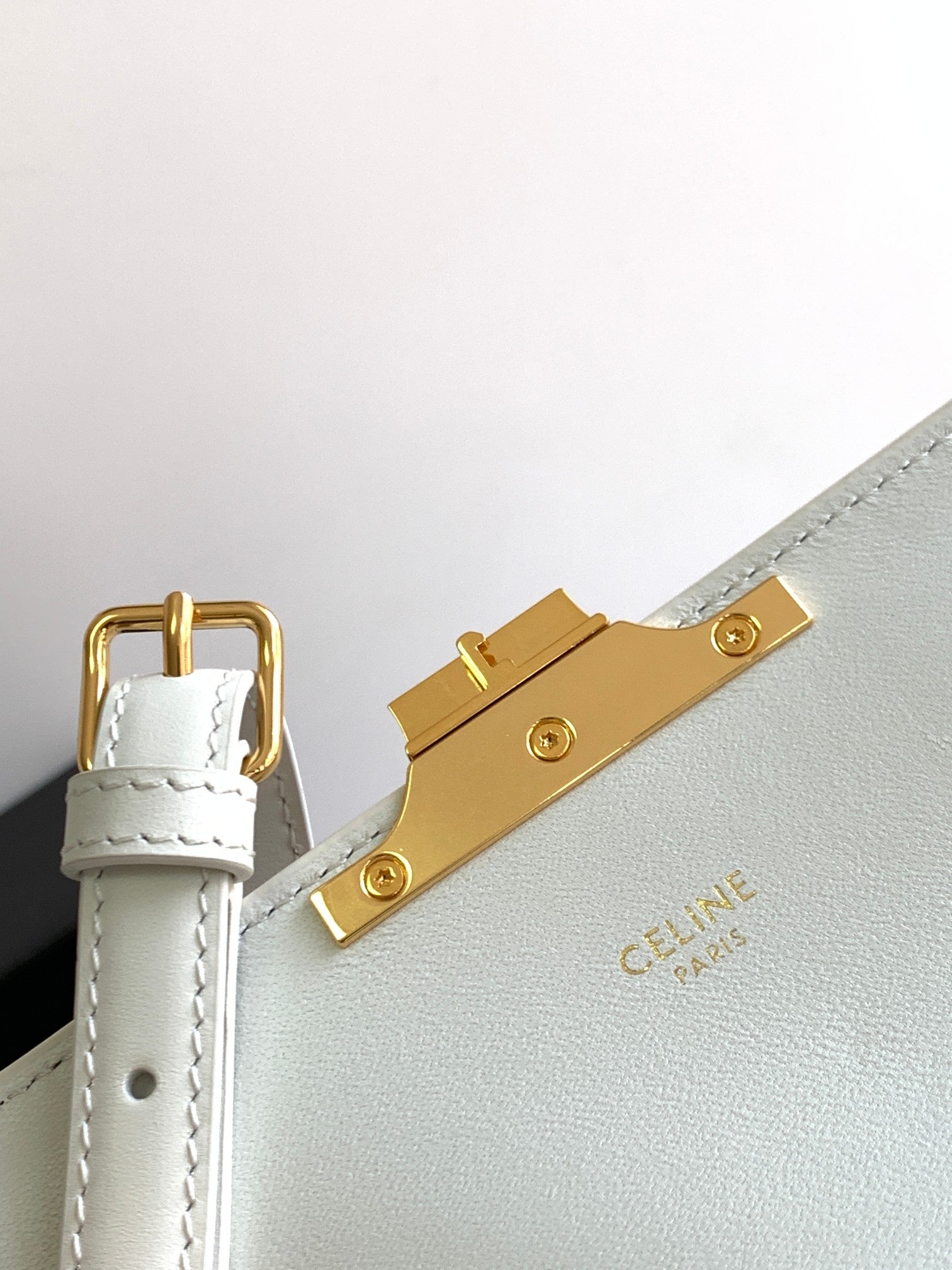 CELINE COLORFUL TRIPHOME 20 COWHIDE LEATHER