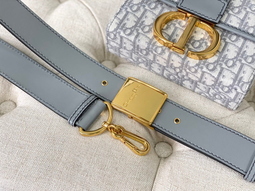 DIOR MONTAIGNE 19 HANDBAG IN GREY CALFSKIN