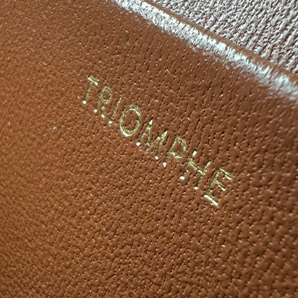 CELINE TRIOMPHE 20 WHITE PATTERN CALFSKIN