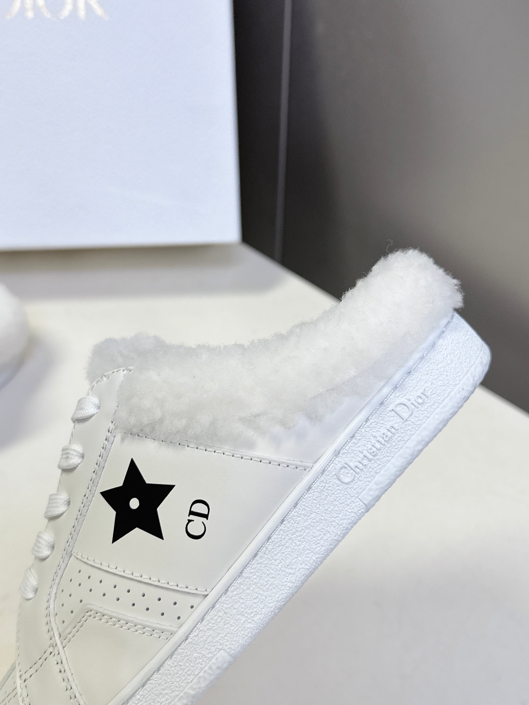 DIOR 25S  STAR SNEAKERS IN WHITE LAMBSKIN AND WOOL