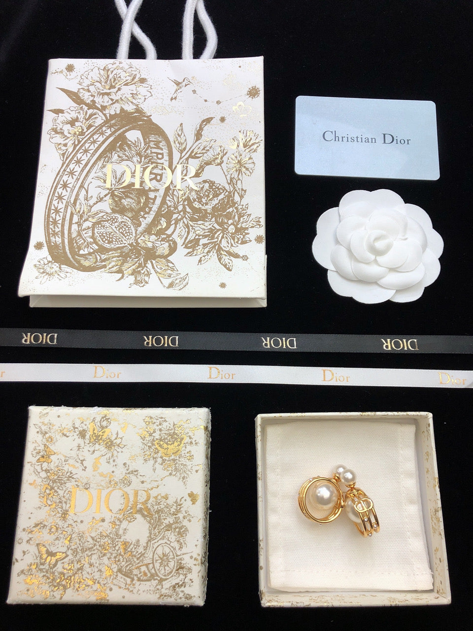 18K Dior D-Backstage Earrings