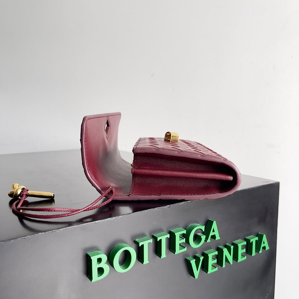 BOTTEGA VENETA ANDIAMO BAG 19 IN BAROLO CALFSKIN